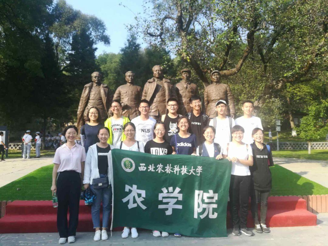 了解韭菜炒鸡蛋 容易出水,怎么办呢?平台,探索知识的星球